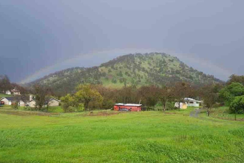 Waxberry Getaway Sequoia/Kings Canyon National Pks สควอว์วัลเลย์ ภายนอก รูปภาพ