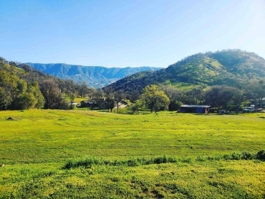 Waxberry Getaway Sequoia/Kings Canyon National Pks สควอว์วัลเลย์ ภายนอก รูปภาพ
